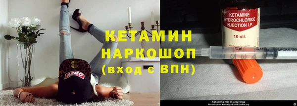 гашик Гусев