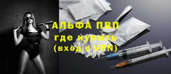 прущие грибы Яранск