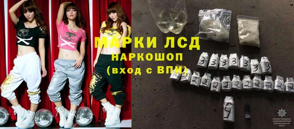 гашик Гусев