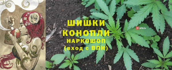 гашик Гусиноозёрск