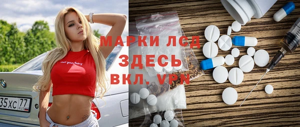 гашик Гусев