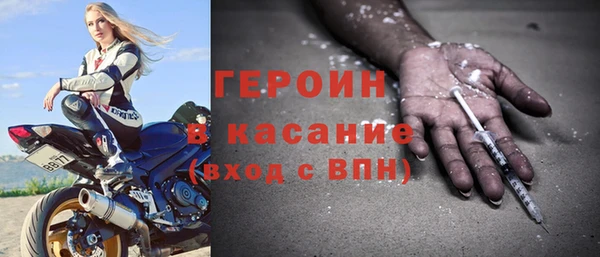 гашик Гусев