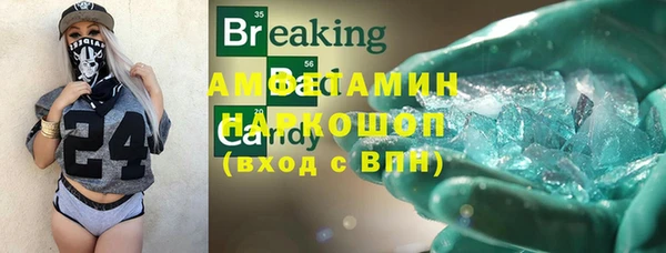прущие грибы Яранск