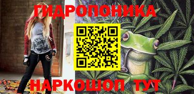 каннабис Гай