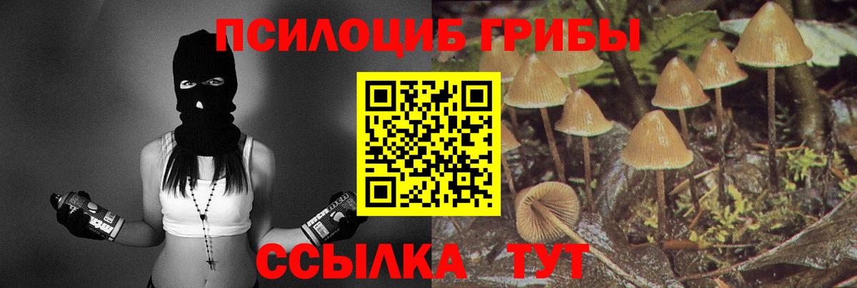 Псилоцибиновые грибы MAGIC MUSHROOMS Назарово